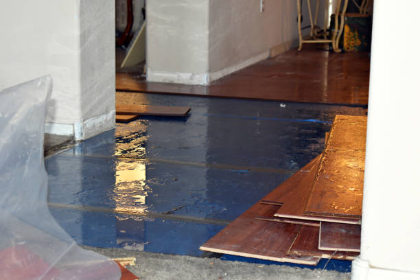 Professional Emergency Water Damage Restoration technician working in Martins Ferry, OH